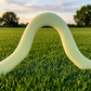 Boomerang Phospho Marguerite blanc posé sur herbe verte au coucher du soleil