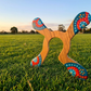 Wooden boomerang, the Waratah