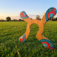 boomerang en bois Waratah quadripale